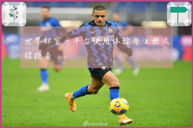 世界杯官方平台使用体验与注册流程指南