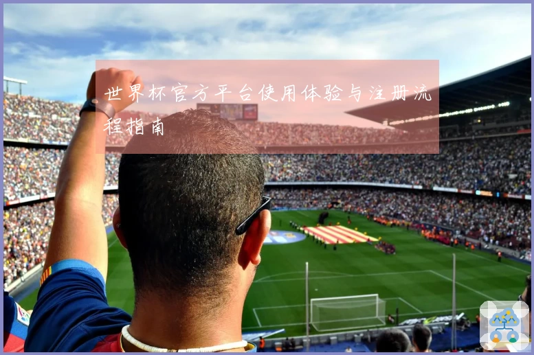 世界杯官方平台使用体验与注册流程指南