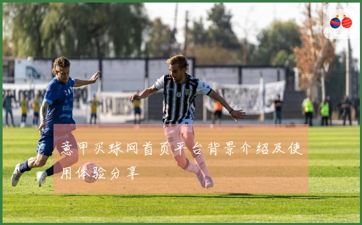 意甲买球网首页平台背景介绍及使用体验分享