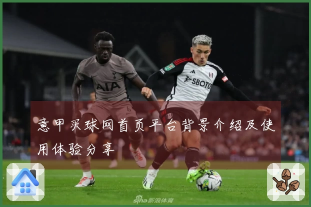 意甲买球网首页平台背景介绍及使用体验分享