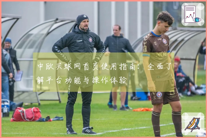 中欧买球网首页使用指南：全面了解平台功能与操作体验